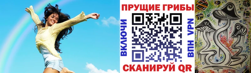 Галлюциногенные грибы Magic Shrooms Горно-Алтайск